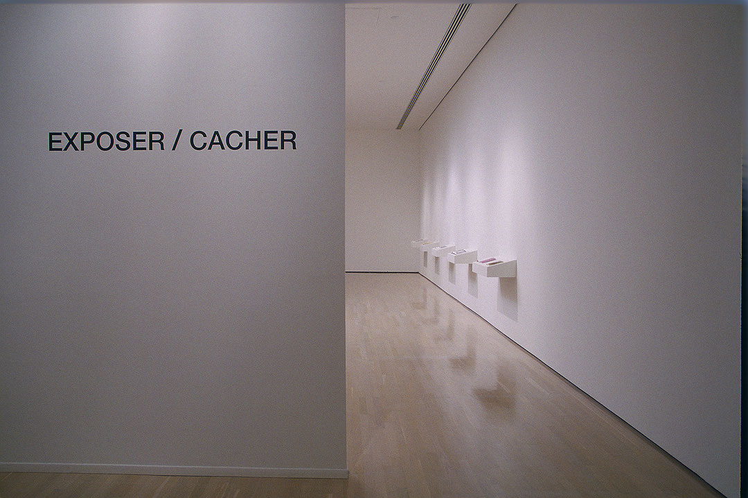 Vue de salle de l’exposition Eric Cameron : Exposer / Cacher (Afficher en plein écran)