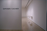 Vue de salle de l’exposition Eric Cameron : Exposer / Cacher