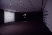 Vue de salle de l’exposition Jean-François Cantin : Le Rêve d’une ombre