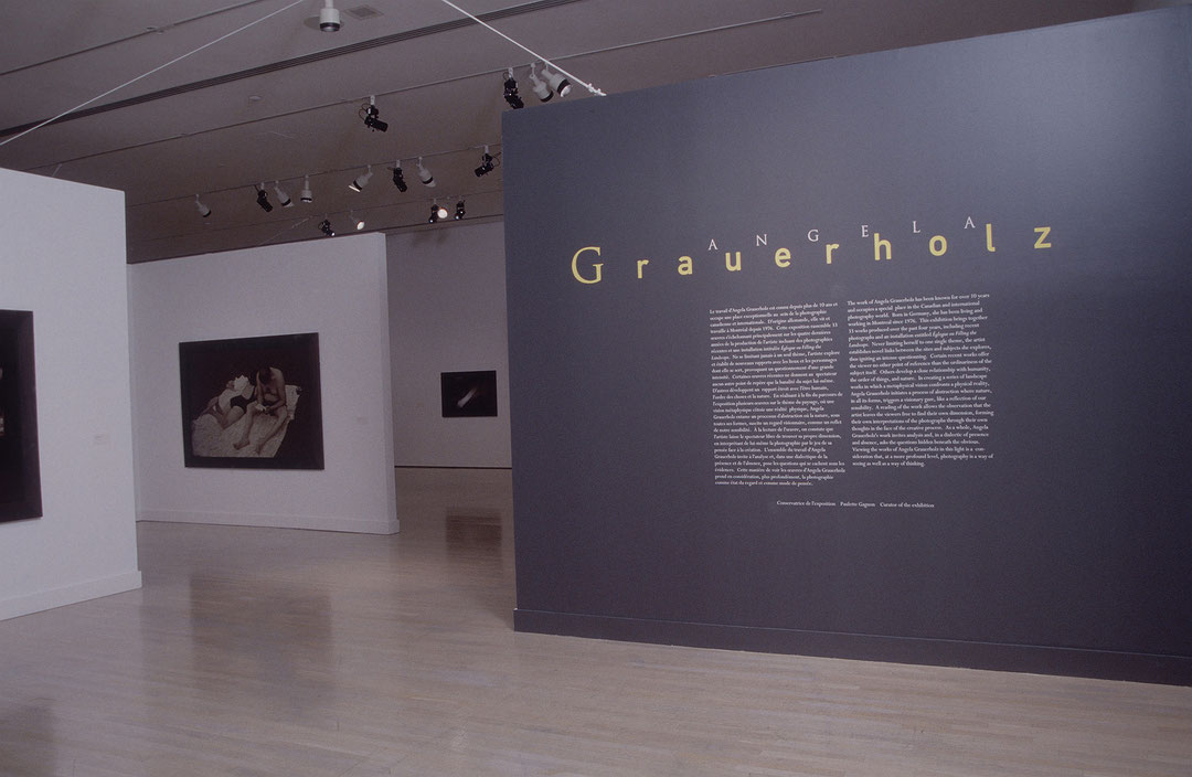 Vue de salle de l’exposition Angela Grauerholz (Afficher en plein écran)