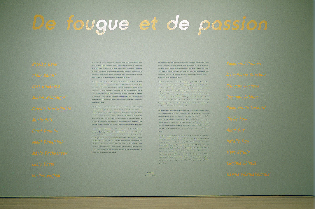 Vue de salle de l’exposition De fougue et de passion (Afficher en plein écran)