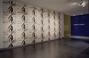 Vue de salle de l’exposition Trevor Gould : Poser pour le public