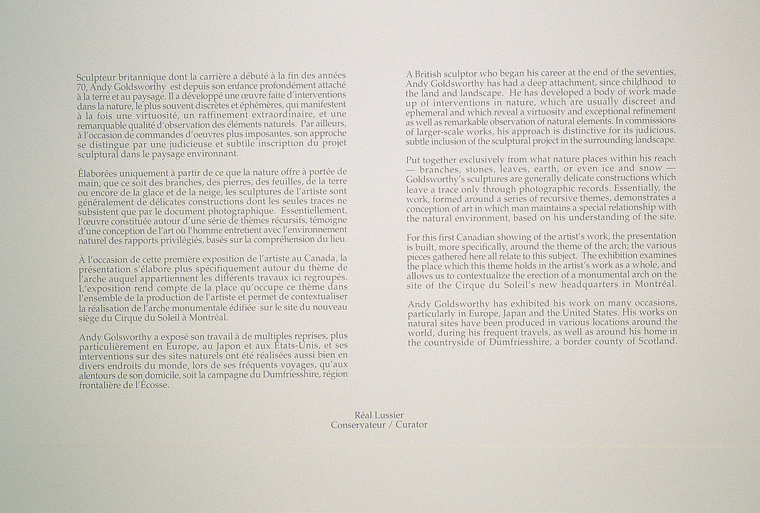 Vue de salle de l’exposition Andy Goldsworthy : Arche (Afficher en plein écran)