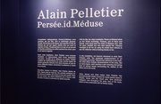 Vue de salle de l’exposition Alain Pelletier : Persée.id.Méduse