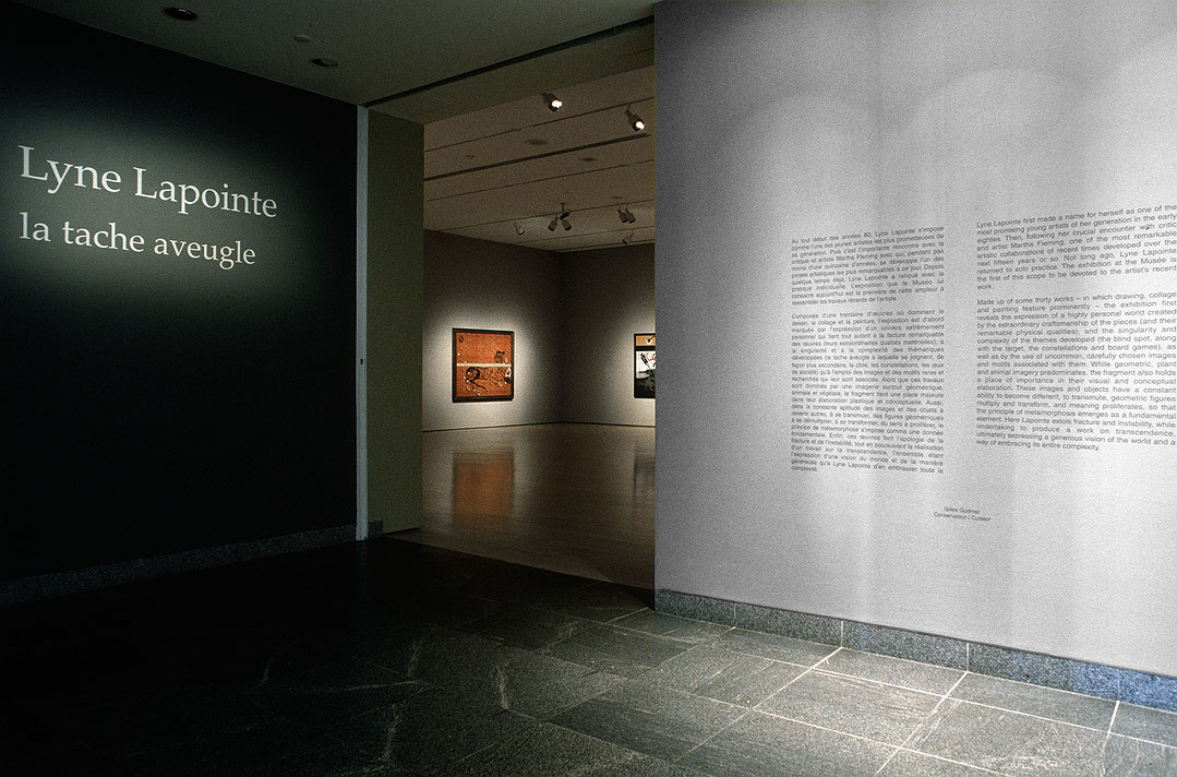 Vue de salle de l’exposition Lyne Lapointe : La Tache aveugle (Afficher en plein écran)