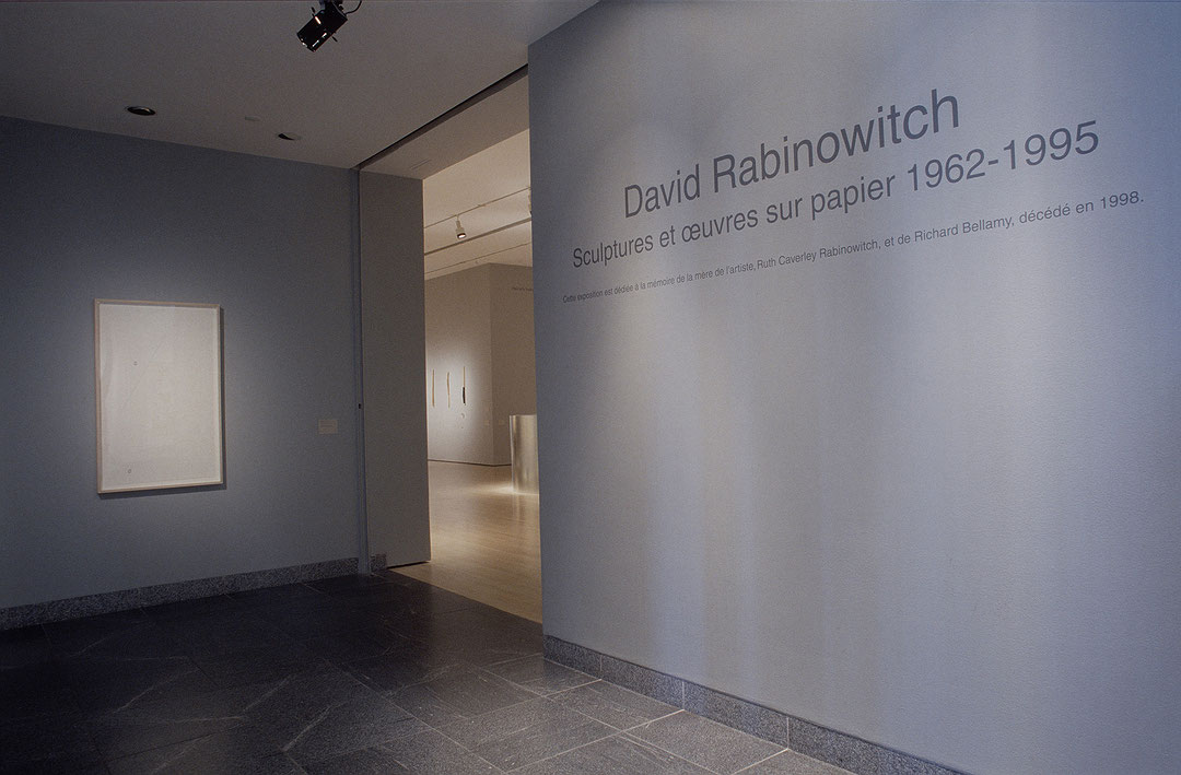 Vue de salle de l’exposition David Rabinowitch (Afficher en plein écran)