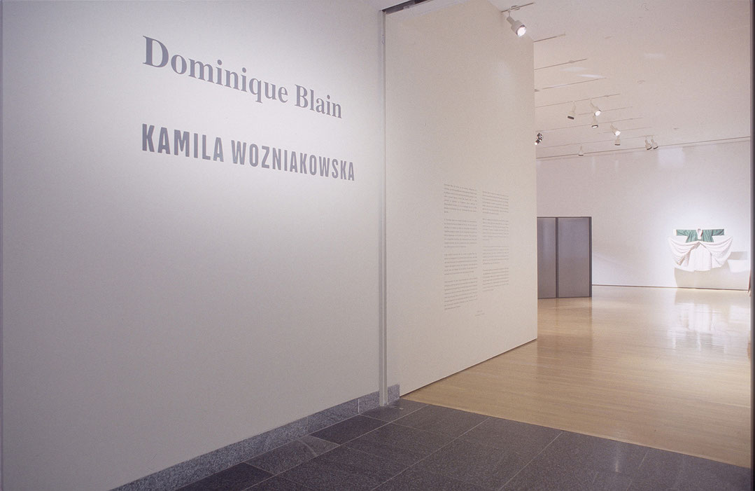 Vue de salle de l’exposition Dominique Blain (Afficher en plein écran)