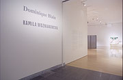 Vue de salle de l’exposition Dominique Blain
