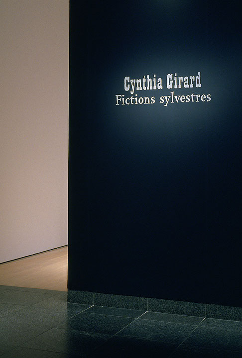 Vue de salle de l’exposition Cynthia Girard : Fictions sylvestres (Afficher en plein écran)