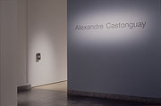 Vue de salle de l’exposition Alexandre Castonguay : Éléments