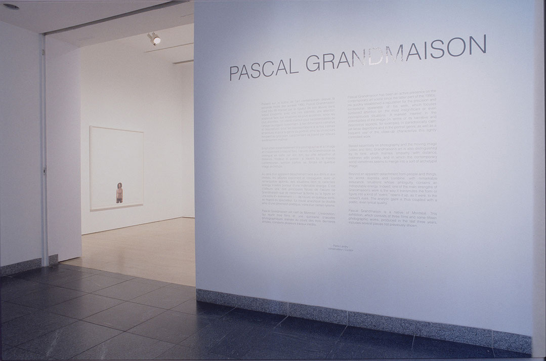 Vue de salle de l’exposition Pascal Grandmaison (Afficher en plein écran)