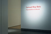 Vue de salle de l’exposition Samuel Roy-Bois : Improbable et ridicule