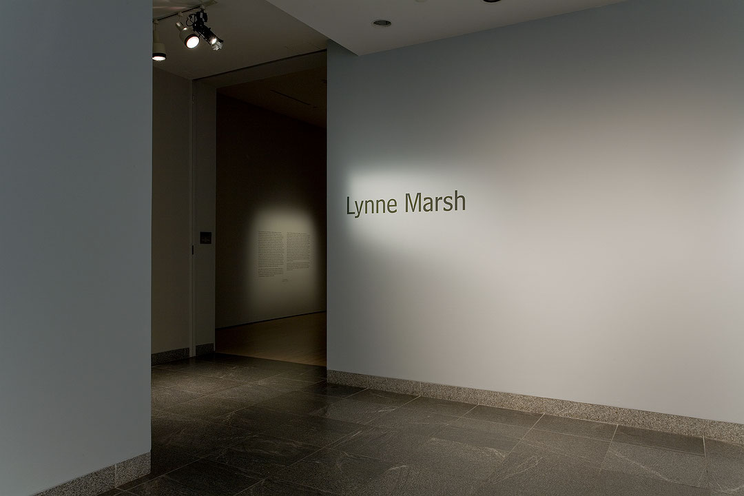Vue de salle de l’exposition Lynne Marsh (Afficher en plein écran)