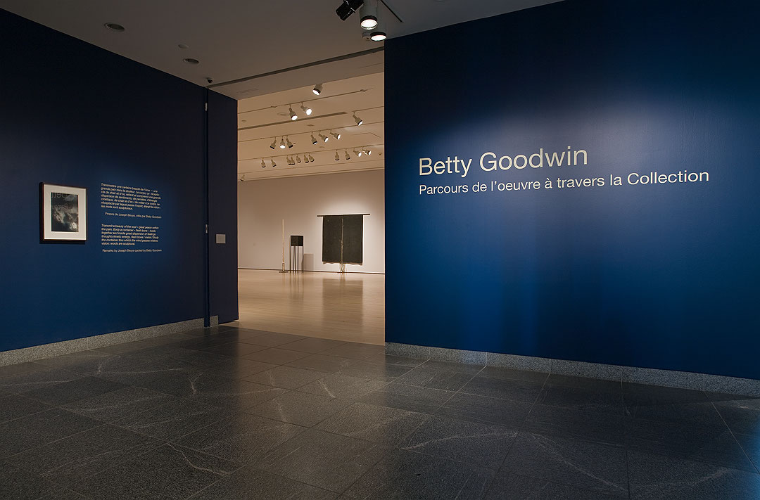 Vue de salle de l’exposition Betty Goodwin : parcours de l’œuvre à travers la Collection (Afficher en plein écran)
