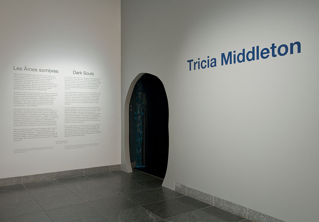 Vue de salle de l’exposition Tricia Middleton : Dark Souls (Afficher en plein écran)