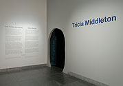 Vue de salle de l’exposition Tricia Middleton : Dark Souls