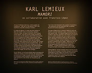 Vue de salle de l’exposition Karl Lemieux : Mamori