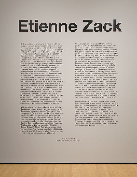 Vue de salle de l’exposition Etienne Zack (Afficher en plein écran)