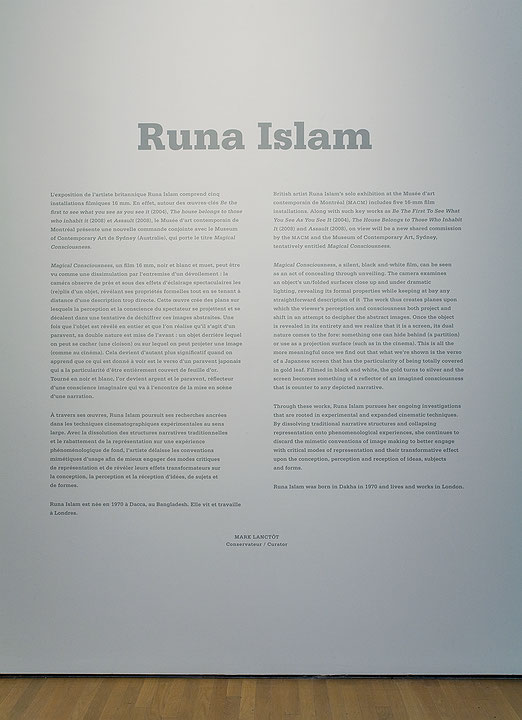 Vue de salle de l’exposition Runa Islam (Afficher en plein écran)