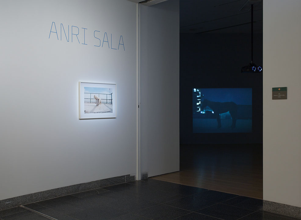 Vue de salle de l’exposition Anri Sala (Afficher en plein écran)