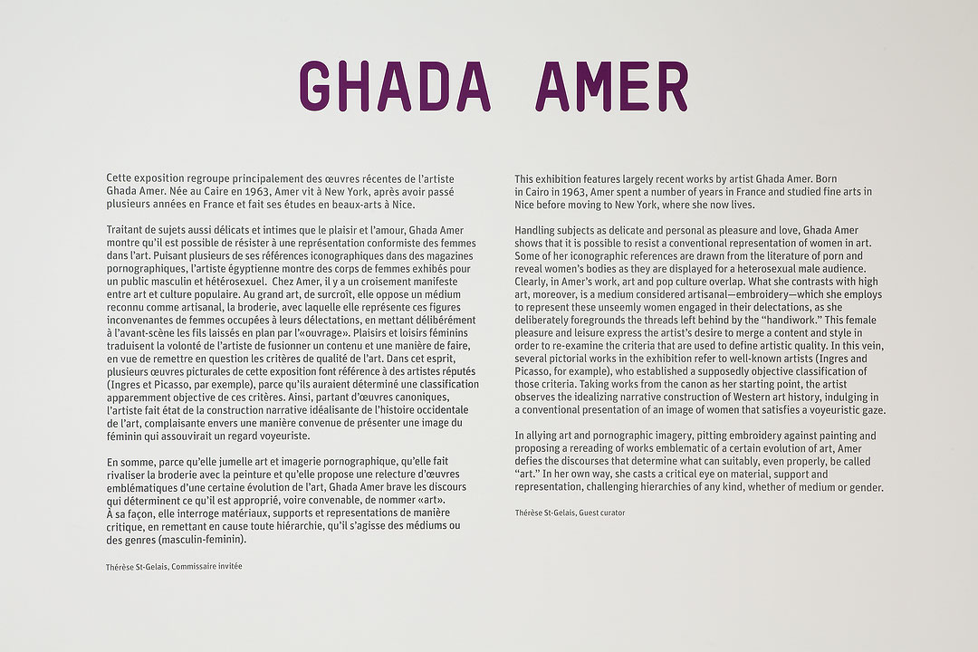Vue de salle de l’exposition Ghada Amer (Afficher en plein écran)