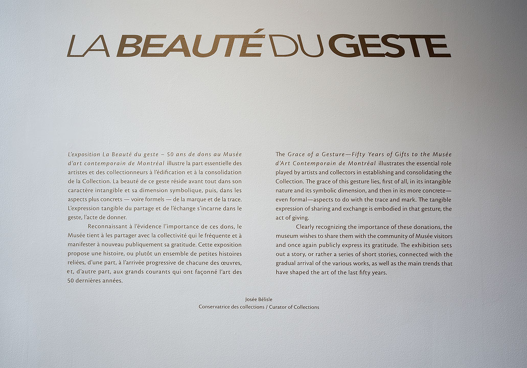 Vue de salle de l’exposition La Beauté du geste : 50 ans de dons au Musée d’art contemporain de Montréal (Afficher en plein écran)