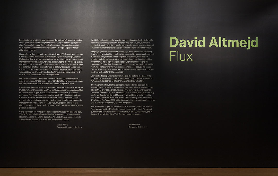 Vue de salle de l’exposition David Altmejd – Flux (Afficher en plein écran)