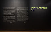 Vue de salle de l’exposition David Altmejd – Flux