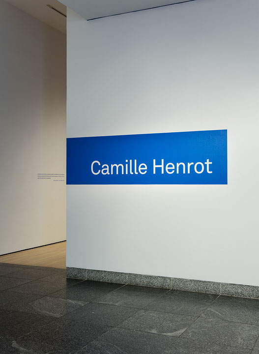 Vue de salle de l’exposition Camille Henrot – Grosse Fatigue (Afficher en plein écran)