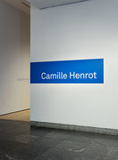Vue de salle de l’exposition Camille Henrot – Grosse Fatigue