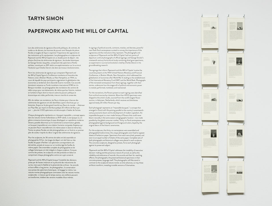 Vue de salle de l’exposition Taryn Simon : Paperwork and the Will of Capital (Afficher en plein écran)
