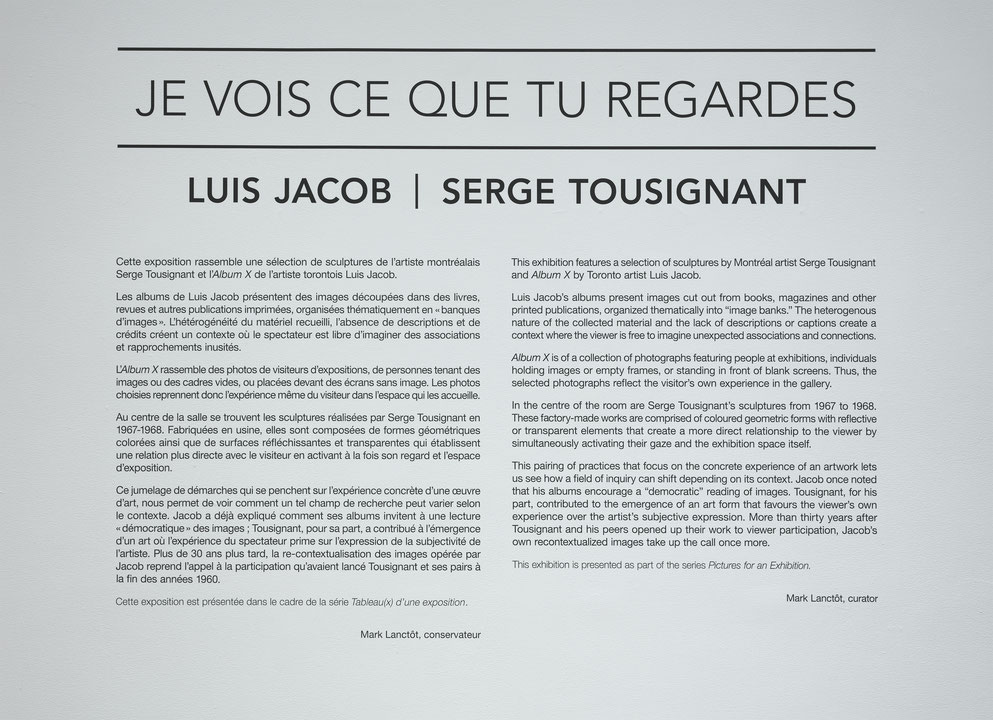 Vue de salle de l’exposition Je vois ce que tu regardes: Luis Jacob et Serge Tousignant (Afficher en plein écran)