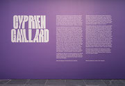 Vue de salle de l’exposition Cyprien Gaillard. Nightlife [La vie nocturne]