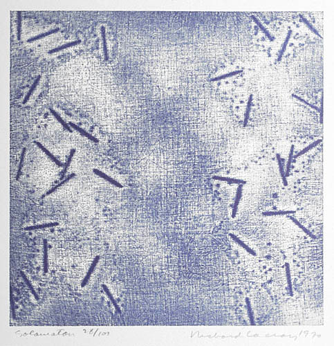 Photo de l’œuvre Salamaton (tirée de l’album « Mû », 1970) de Richard Lacroix (Afficher en plein écran)