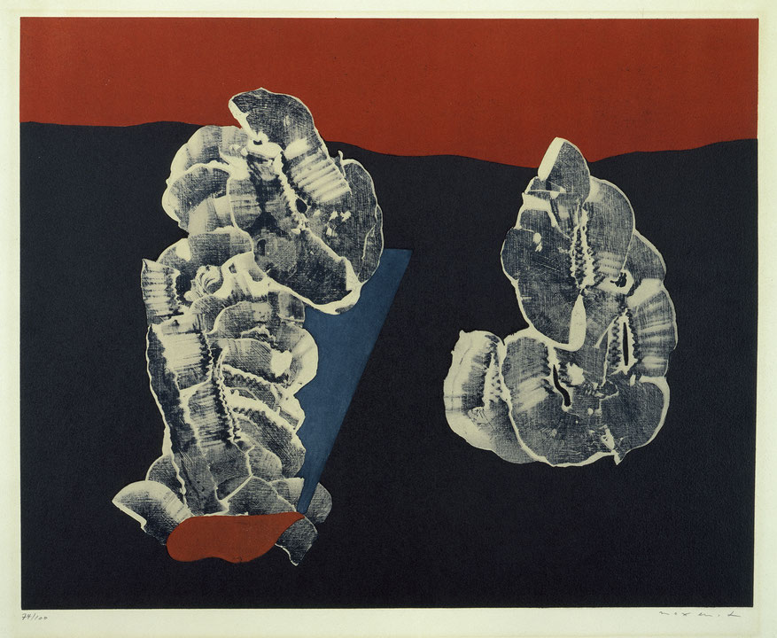 Photo de l’œuvre Muschelblumen de Max Ernst (Afficher en plein écran)