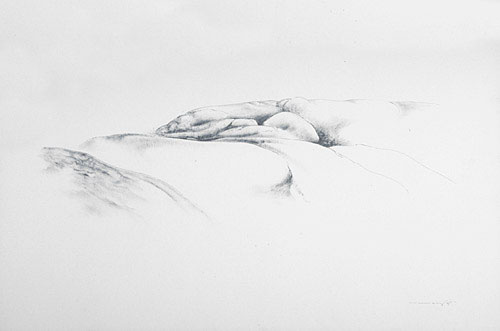 Photo de l’œuvre Boulders, East Coast de Gérald Humen (Afficher en plein écran)