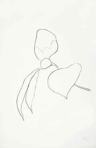Photo de l’œuvre Camellia 1 de Ellsworth Kelly (Afficher en plein écran)
