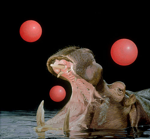 Photo de l’œuvre Hippopotame de Serge Lemonde (Afficher en plein écran)