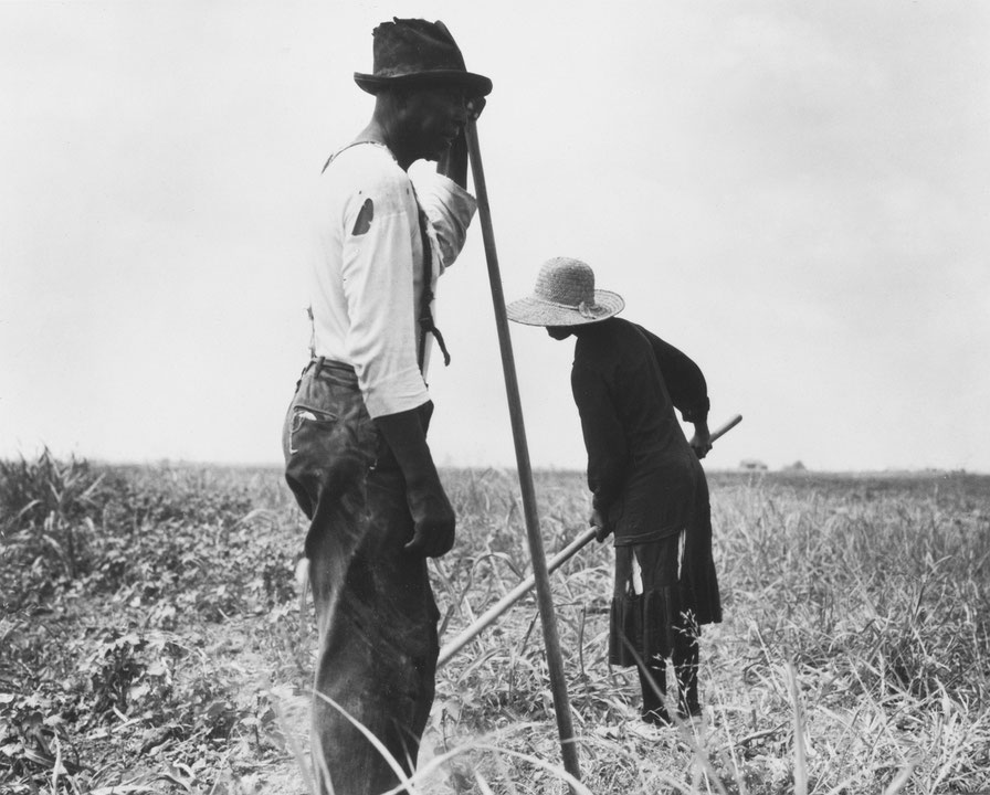 Photo de l’œuvre Greene County de Dorothea Lange (Afficher en plein écran)