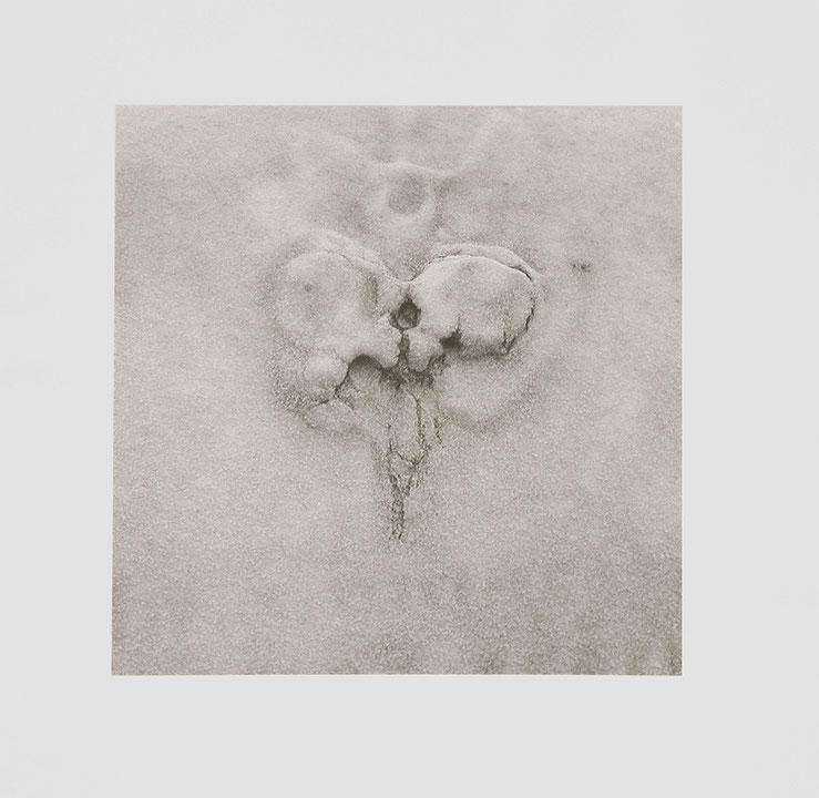 Photo de l’œuvre Sans titre (tirée de l’album « Tempus Edax Rerum », 1979) de Vincent Sharp (Afficher en plein écran)