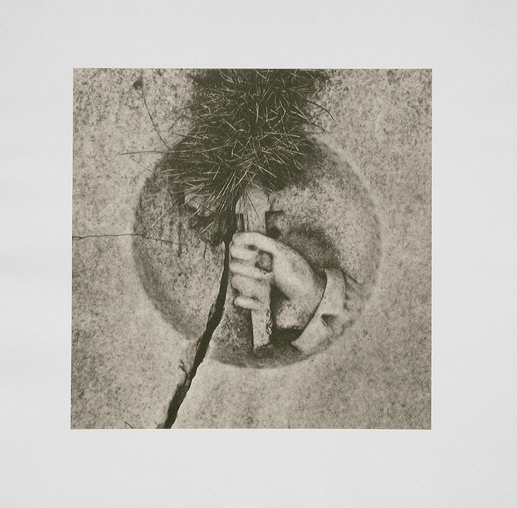 Photo de l’œuvre Sans titre (tirée de l’album « Tempus Edax Rerum », 1979) de Vincent Sharp (Afficher en plein écran)