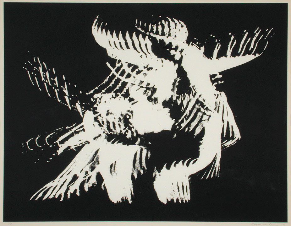 Photo de l’œuvre Pas de deux de Norman McLaren (Afficher en plein écran)