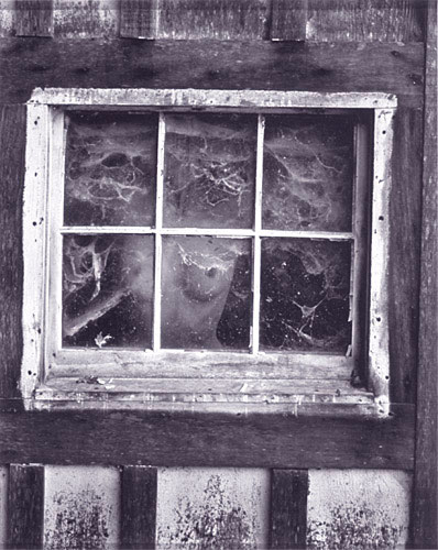 Photo de l’œuvre Woman through Window de Wynn Bullock (Afficher en plein écran)