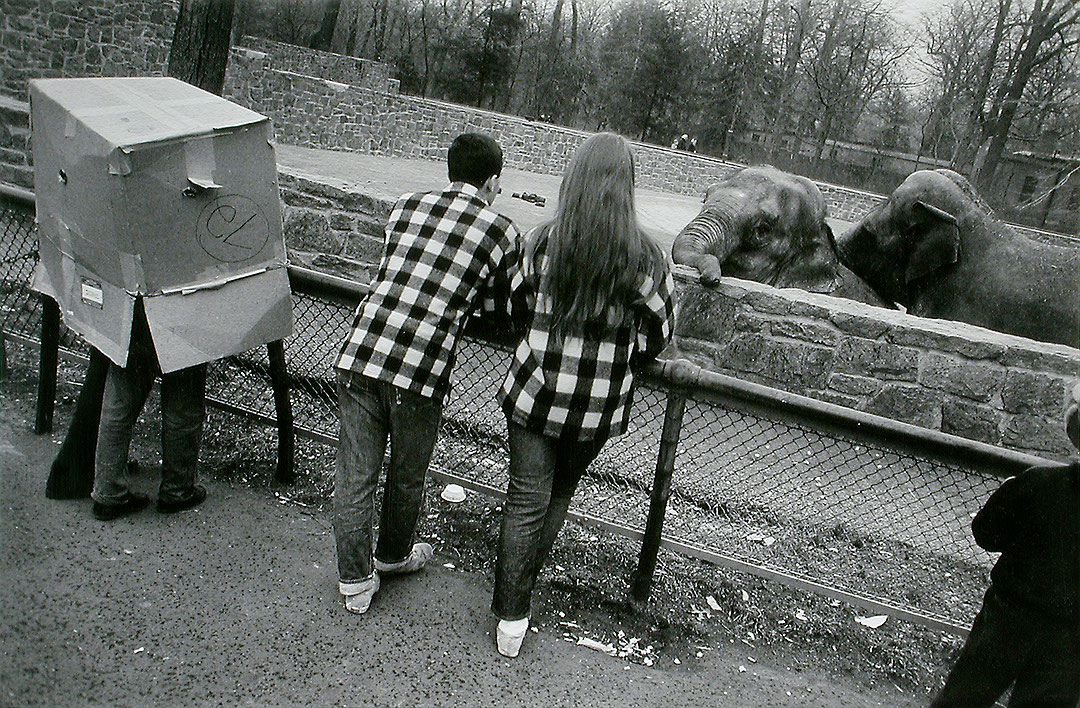 Photo de l’œuvre Sans titre (de la série « The Animals », 1965) de Garry Winogrand (Afficher en plein écran)