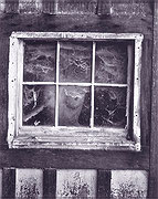 Photo de l’œuvre Woman through Window de Wynn Bullock