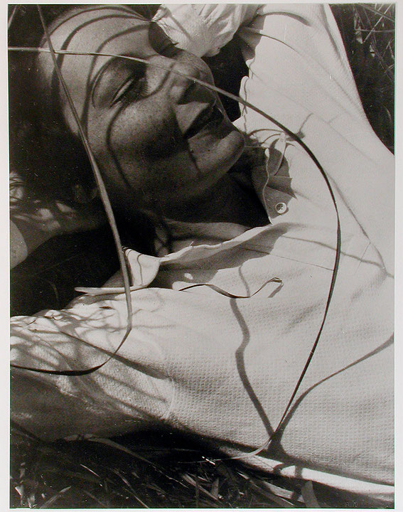 Photo de l’œuvre Ellen (Sellin) (tirée de l’album « Sans titre », 1920 - 1939) de László Moholy-Nagy (Afficher en plein écran)