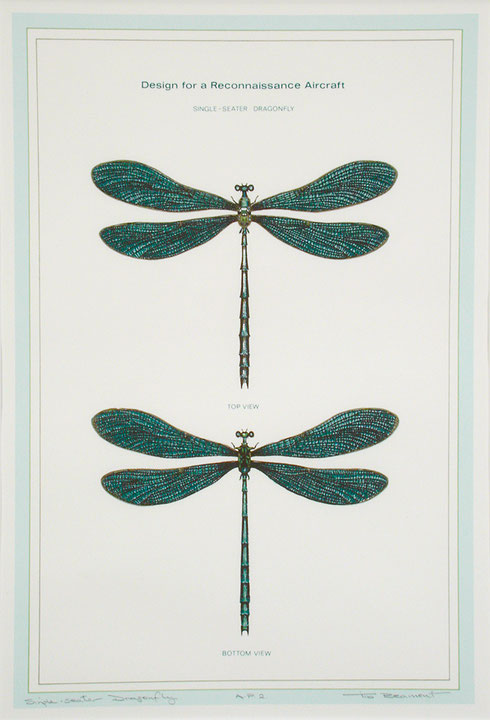 Photo de l’œuvre Single-Seater Dragonfly de Tib Beament (Afficher en plein écran)