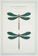 Photo de l’œuvre Single-Seater Dragonfly de Tib Beament
