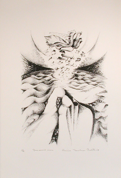 Photo de l’œuvre Nous sommes Icares (tirée de l’album « Mutances », 1980) de Thérèse Bourbeau-Cholette (Afficher en plein écran)