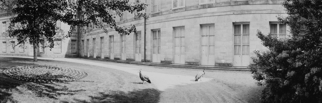 Photo de l’œuvre Fontainebleau. Le jardin de Diane (tirée de l’album « French Gardens », 1981) de Geoffrey James (Afficher en plein écran)